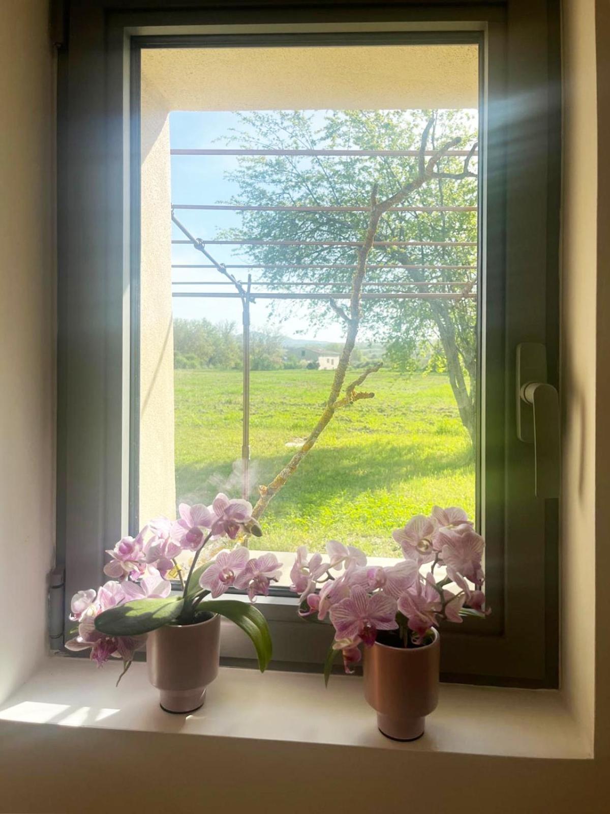 Mane  Le Petit Cabanon Provencalヴィラ エクステリア 写真